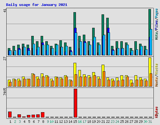 Daily usage for January 2021